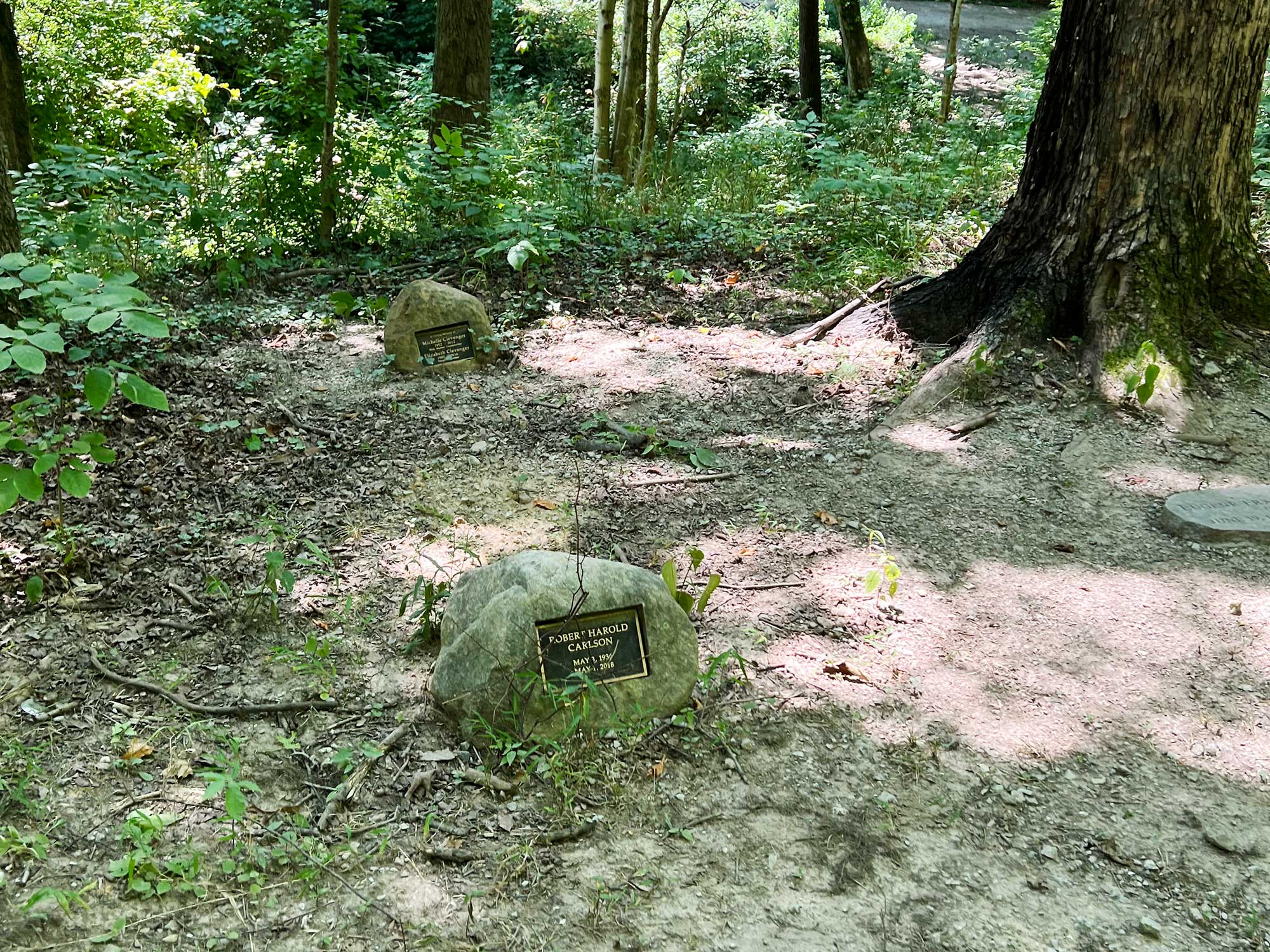 Stone markers blend seamlessly into the natural environment.
