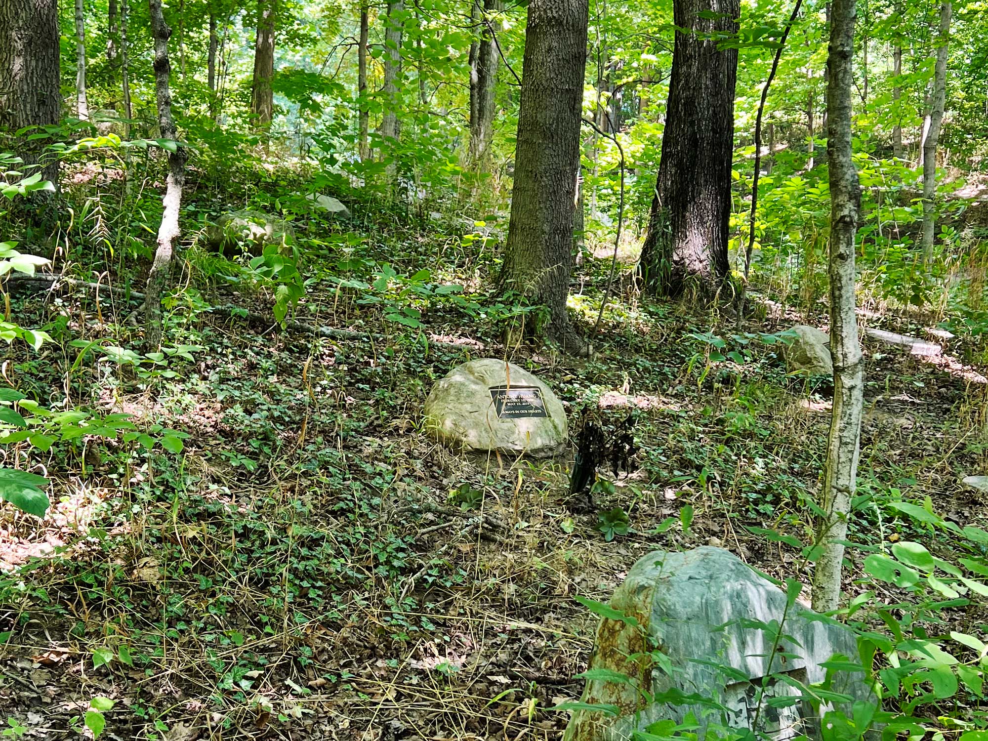 Stone markers blend seamlessly into the natural environment.